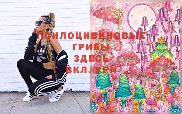 Альфа ПВП Кодинск