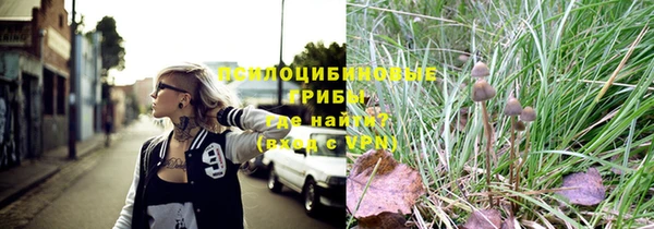 герыч Козловка