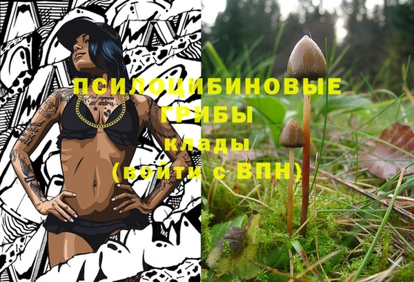 герыч Козловка